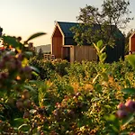 Olecka Village &
