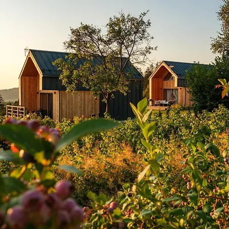 Olecka Village & Jaworzynka