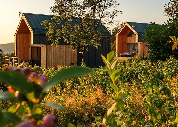 Olecka Village & Jaworzynka